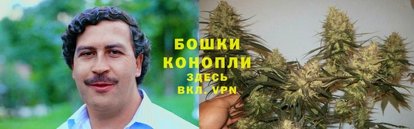 МДПВ Белокуриха