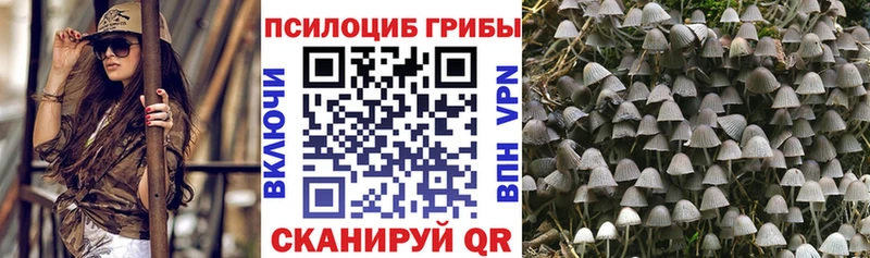 Галлюциногенные грибы ЛСД  kraken tor  Суджа 